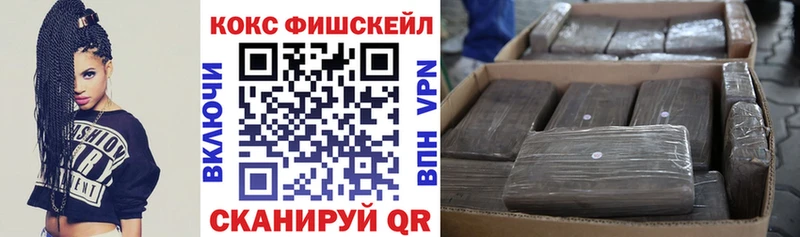 как найти закладки  Белозерск  MEGA tor  Кокаин Fish Scale 