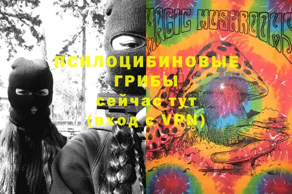 гашик Балахна