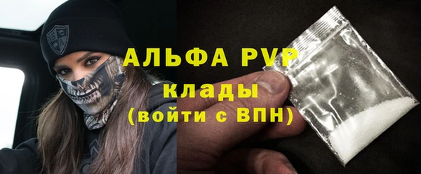 хмурый Сосновый Бор